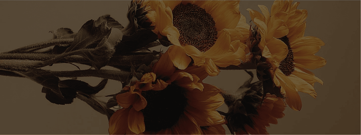 Foto principal — girasol / mano / cuaderno